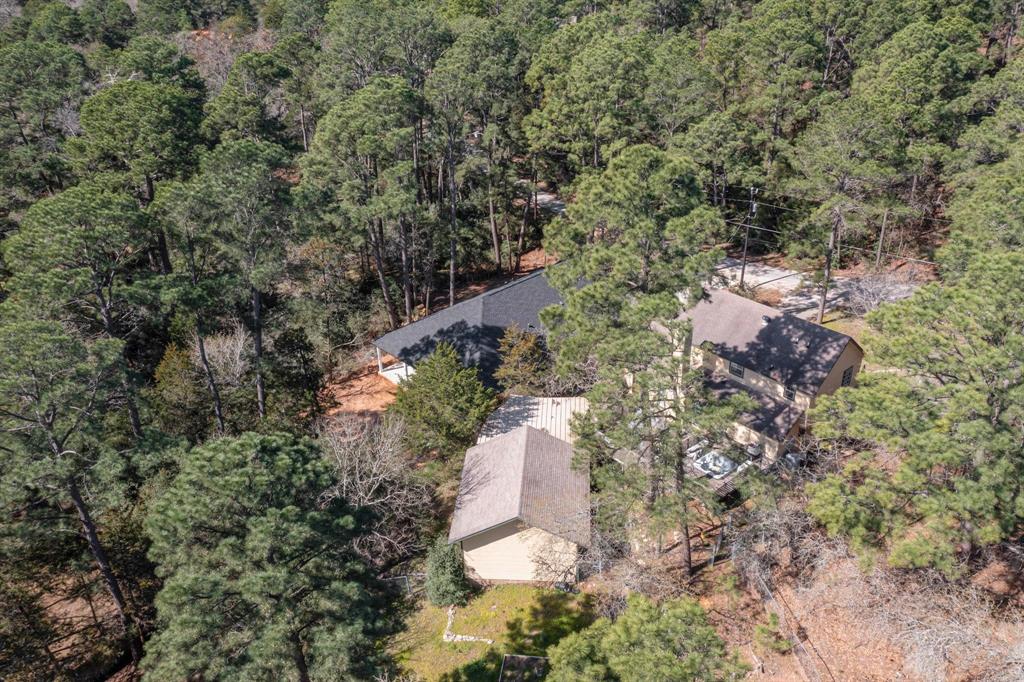 117 Keaau Court, Bastrop, Texas image 40