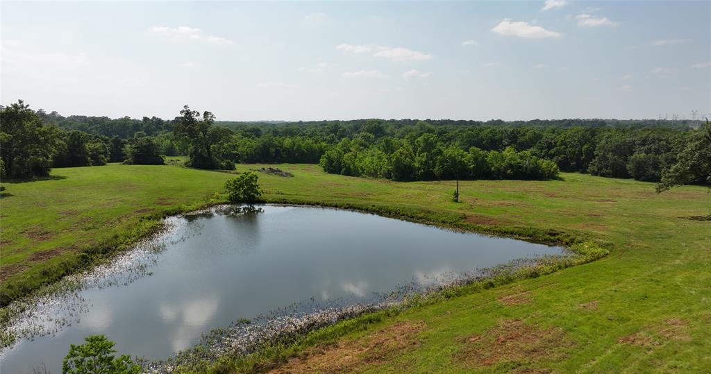 2268 S Fm 1486, Montgomery, Texas image 15