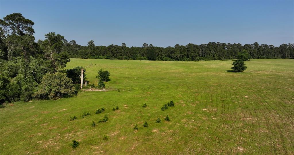 2268 S Fm 1486, Montgomery, Texas image 23