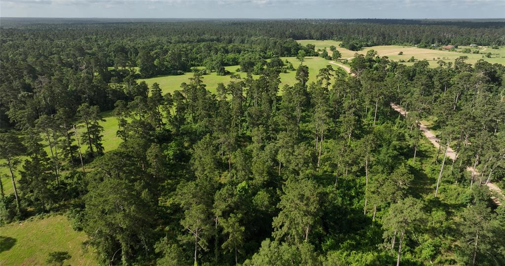 2268 S Fm 1486, Montgomery, Texas image 32