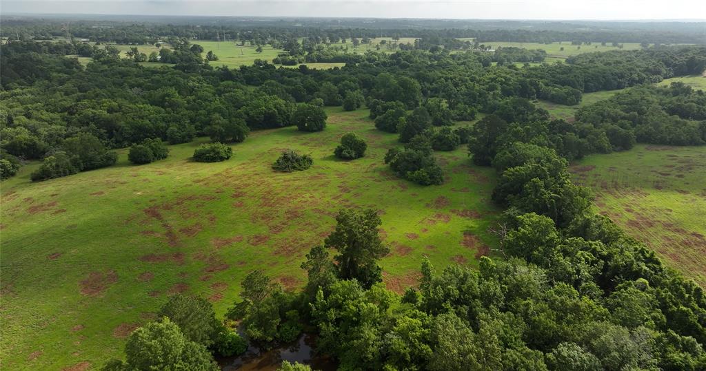 2268 S Fm 1486, Montgomery, Texas image 43
