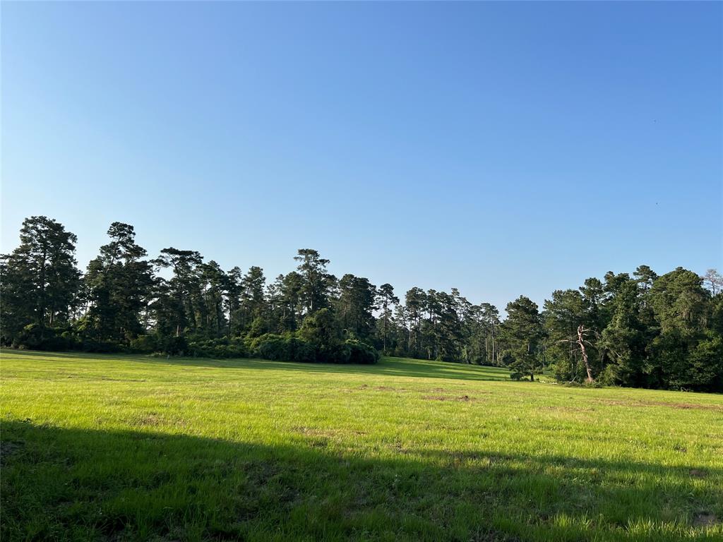 2268 S Fm 1486, Montgomery, Texas image 24
