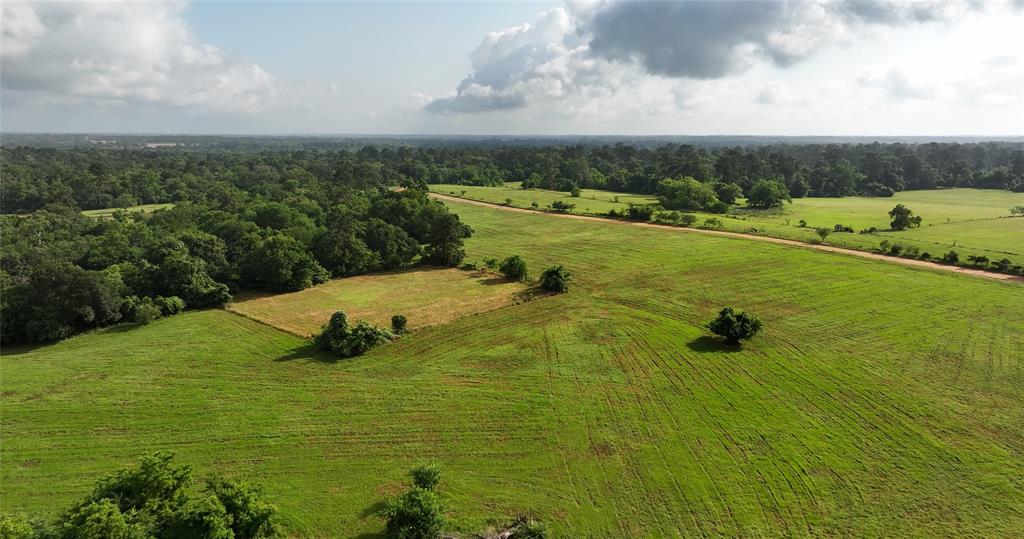 2268 S Fm 1486, Montgomery, Texas image 12