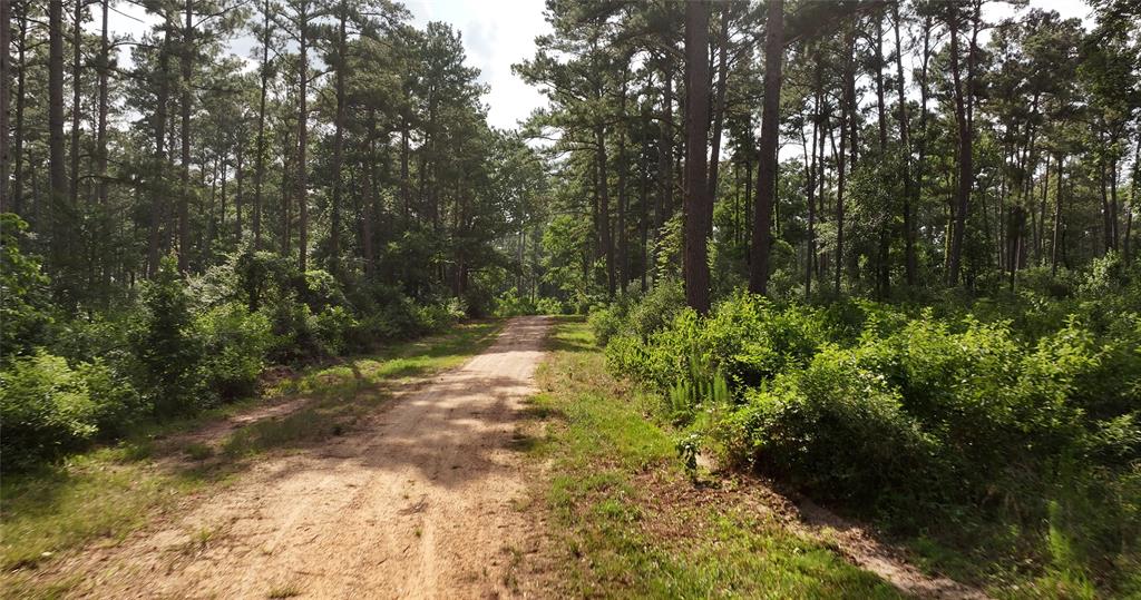 2268 S Fm 1486, Montgomery, Texas image 9