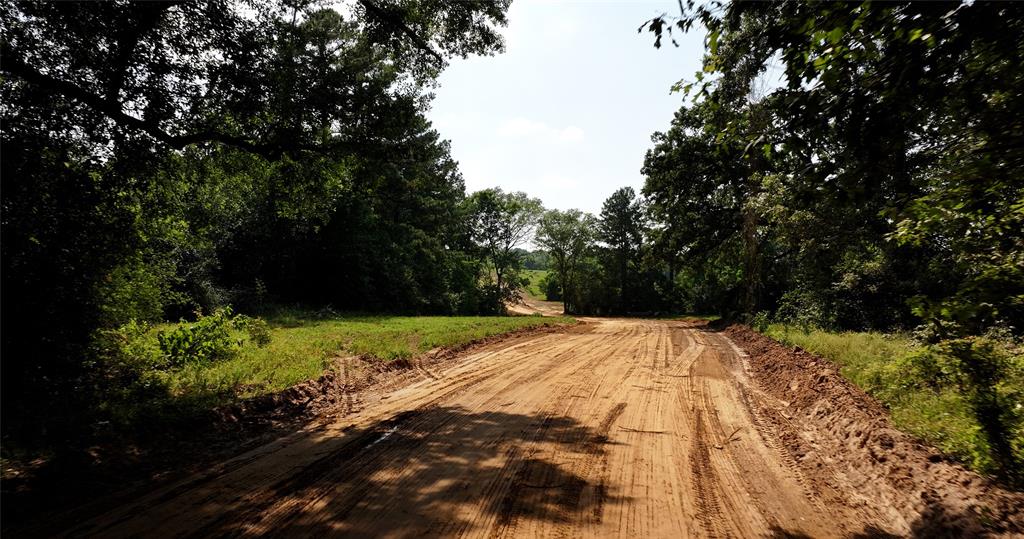 2268 S Fm 1486, Montgomery, Texas image 20