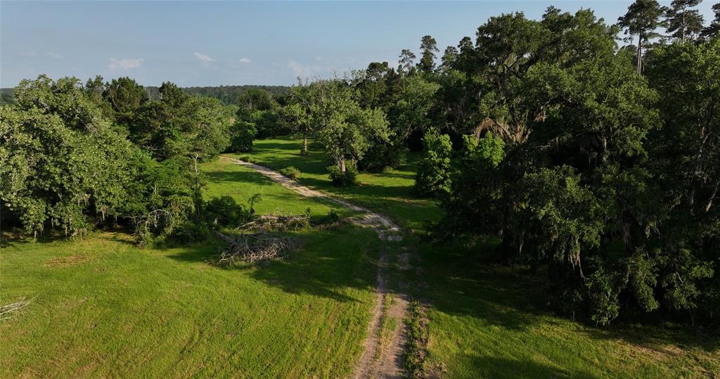 2268 S Fm 1486, Montgomery, Texas image 27