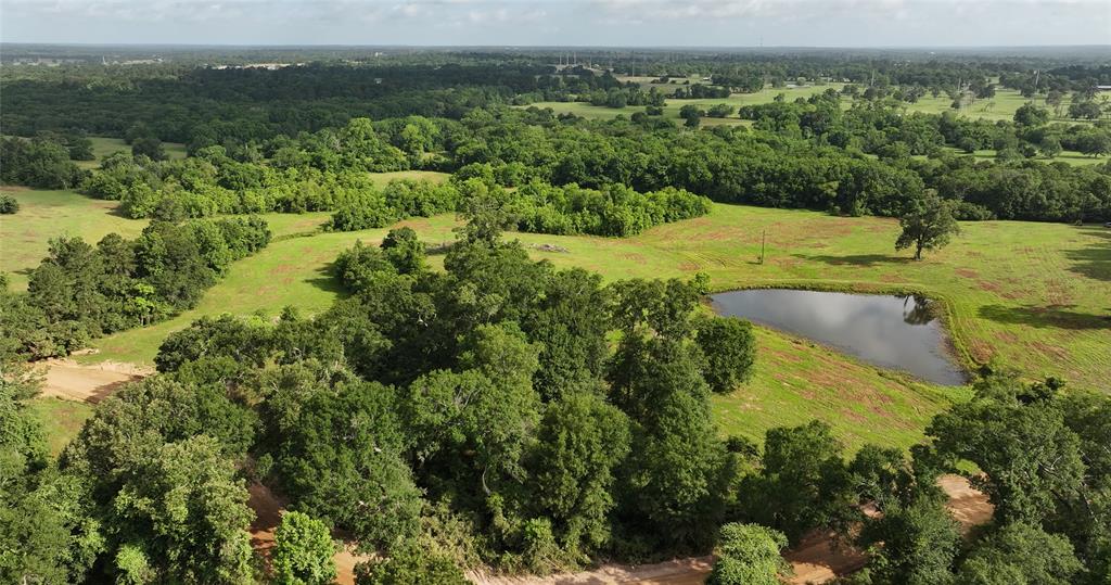 2268 S Fm 1486, Montgomery, Texas image 30
