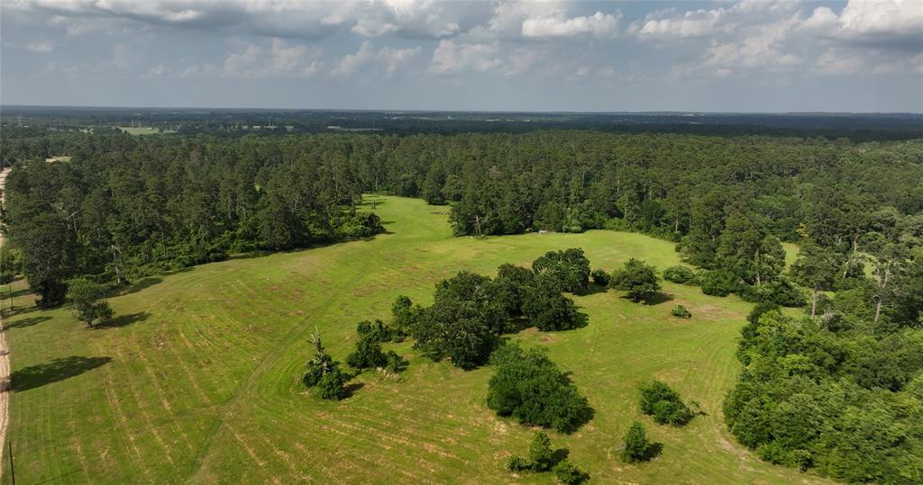 2268 S Fm 1486, Montgomery, Texas image 7