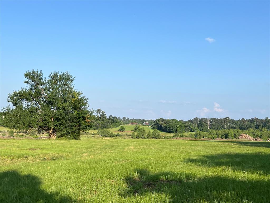 2268 S Fm 1486, Montgomery, Texas image 19