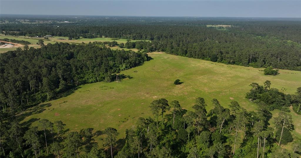 2268 S Fm 1486, Montgomery, Texas image 25