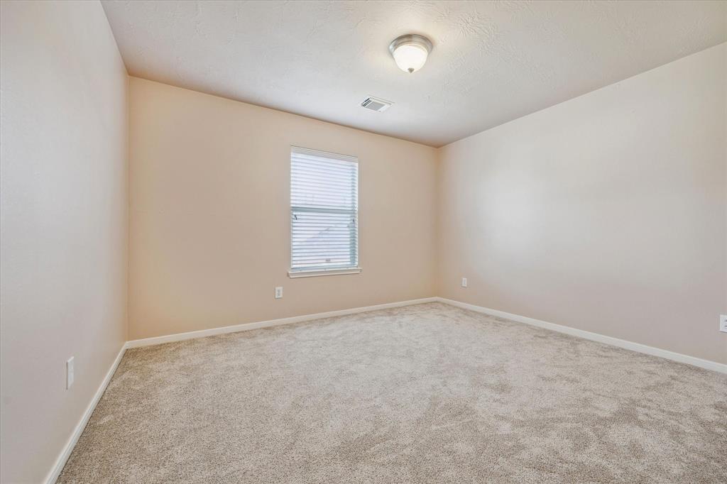 28 Carmel Chase Court, Manvel, Texas image 16