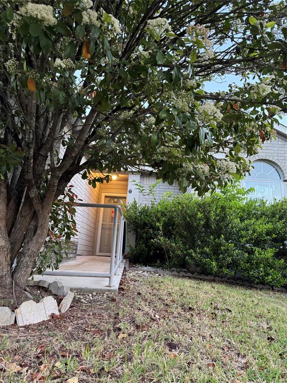 7340 Muffin Drive