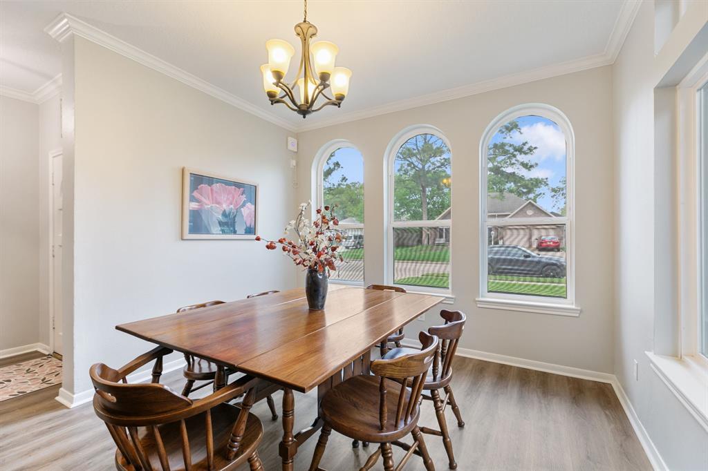 20315 Maple Village Drive, Cypress, Texas image 6