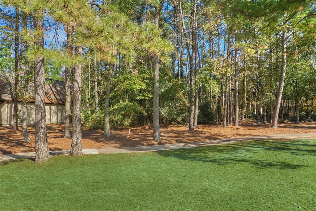 3164 Bentwater Drive, Montgomery, Texas image 13