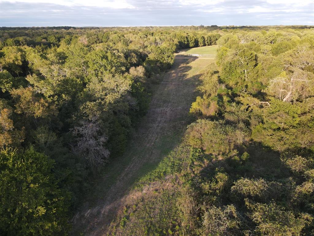 1860 Private Road 8608, Tennessee Colony, Texas image 9