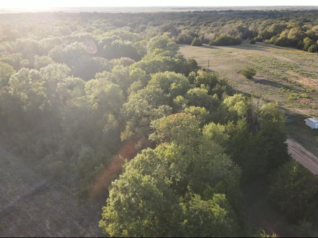 1860 Private Road 8608, Tennessee Colony, Texas image 11