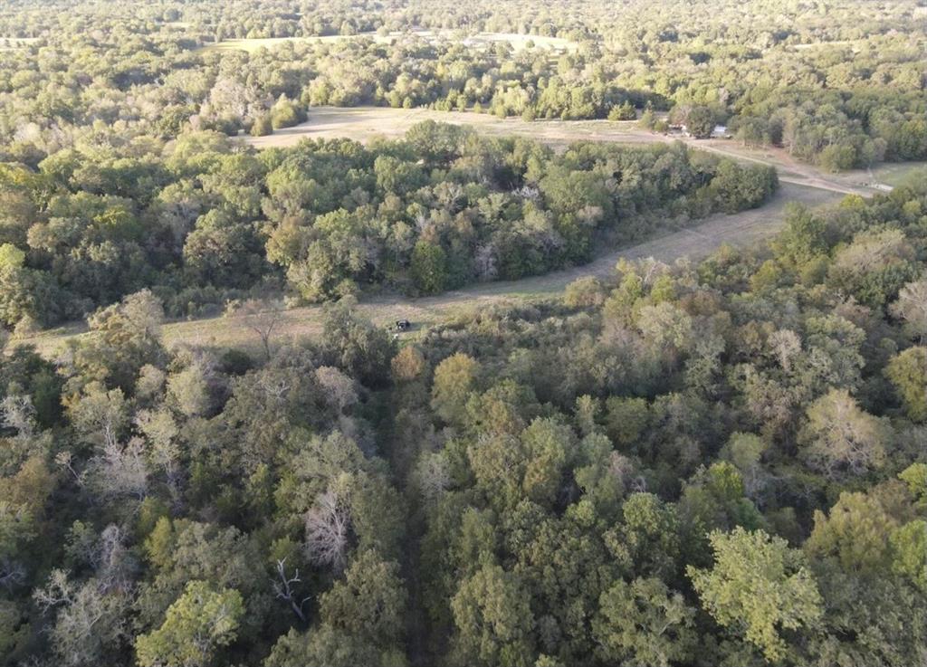 1860 Private Road 8608, Tennessee Colony, Texas image 7