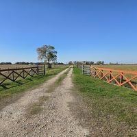 16140 Hubenak Road, Needville, Texas image 1