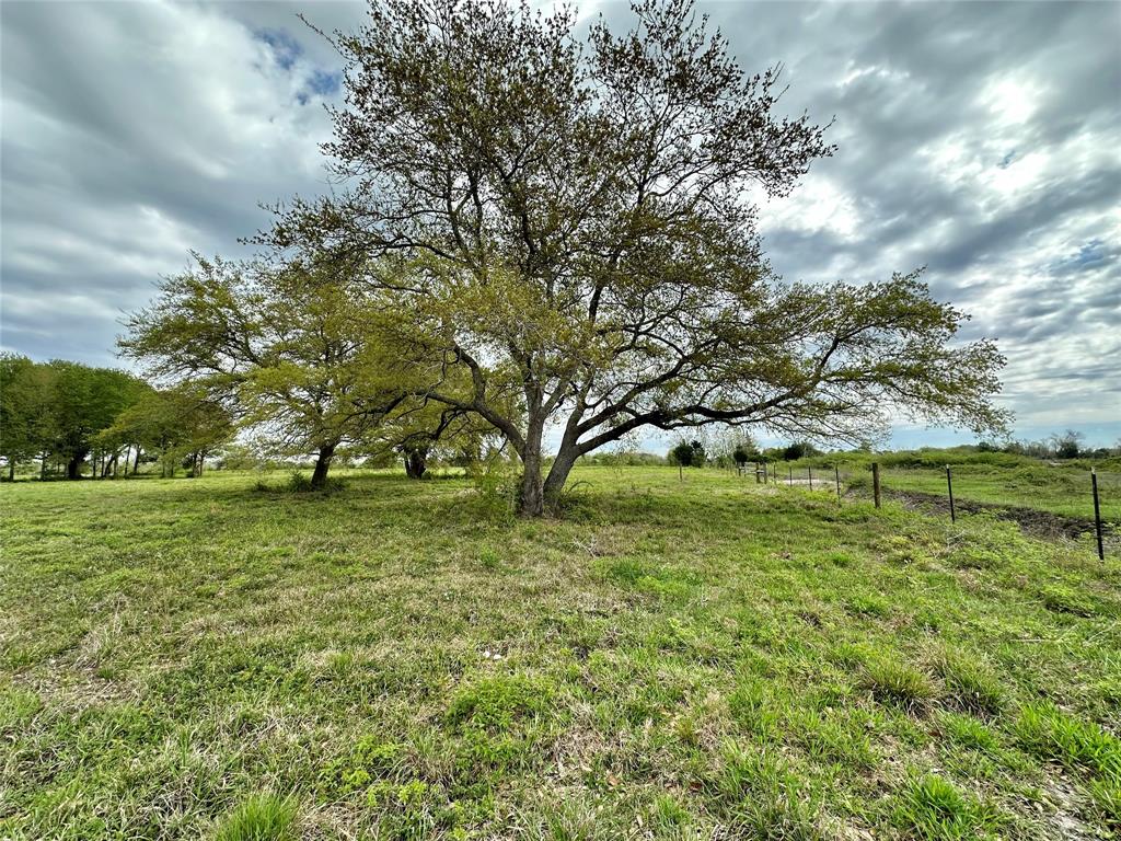 4304 Fcr 78, Rosharon, Texas image 26