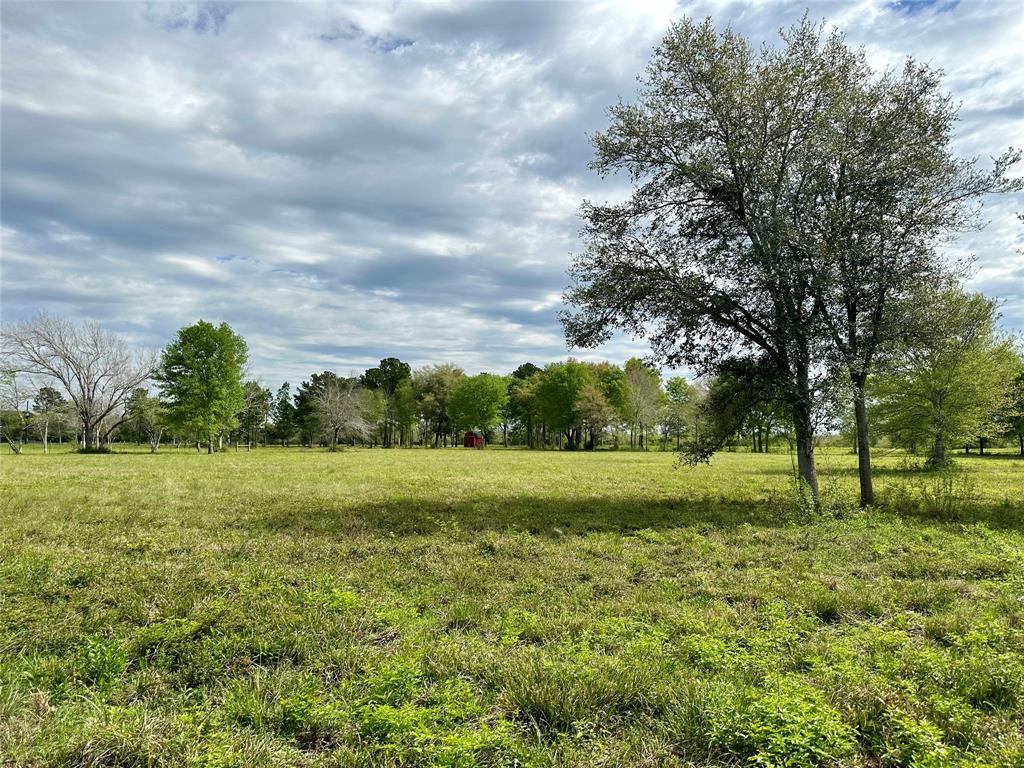 4304 Fcr 78, Rosharon, Texas image 34