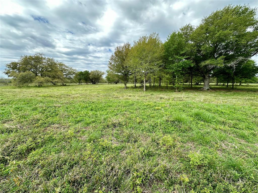 4304 Fcr 78, Rosharon, Texas image 22