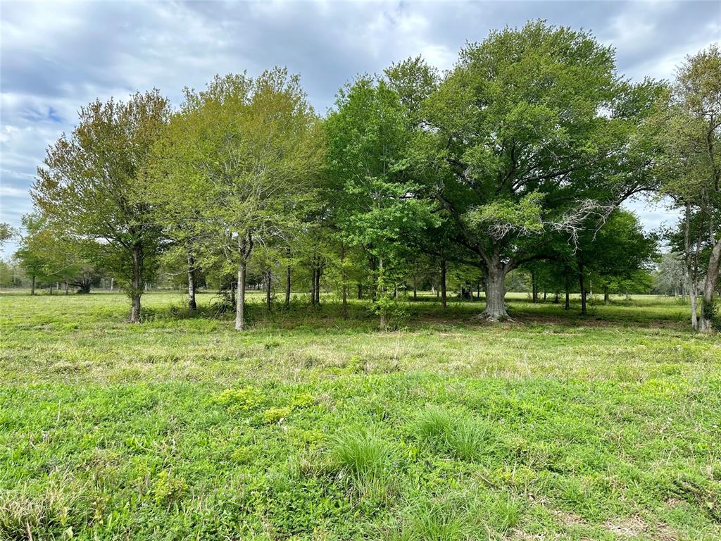 4304 Fcr 78, Rosharon, Texas image 20