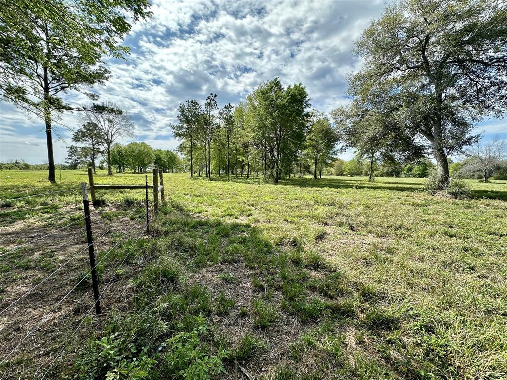 4304 Fcr 78, Rosharon, Texas image 44
