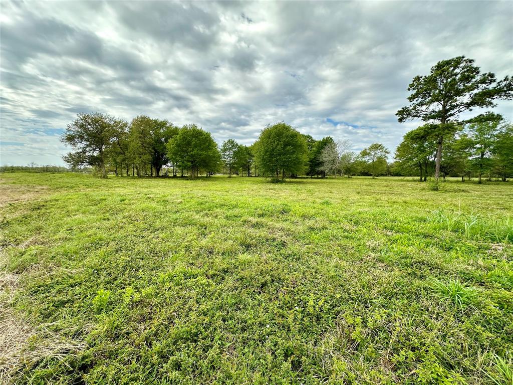 4304 Fcr 78, Rosharon, Texas image 15