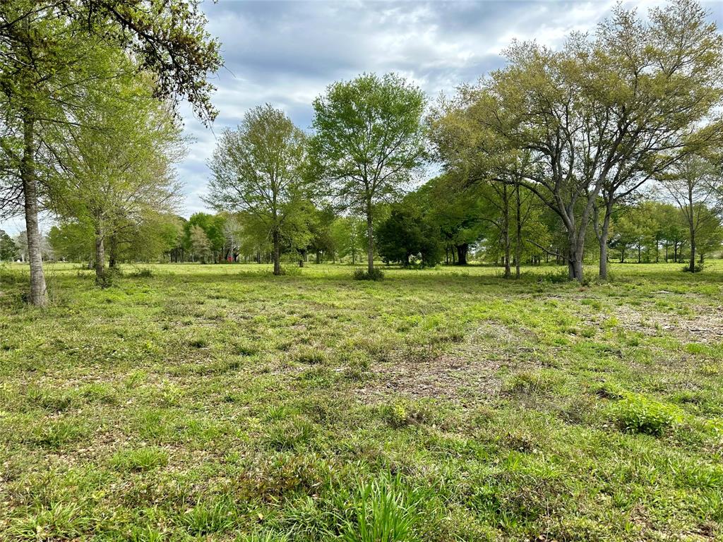 4304 Fcr 78, Rosharon, Texas image 29