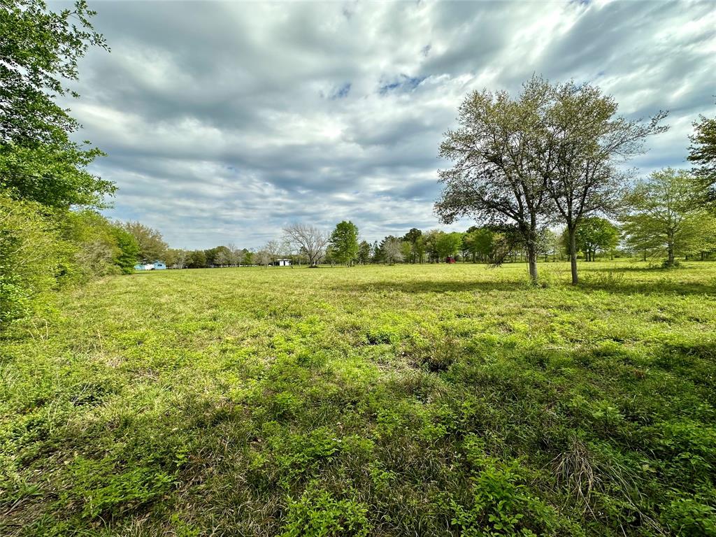 4304 Fcr 78, Rosharon, Texas image 33