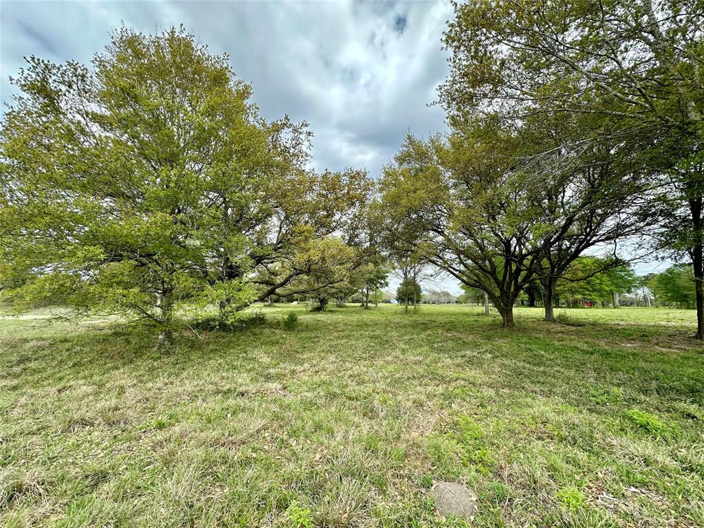 4304 Fcr 78, Rosharon, Texas image 27