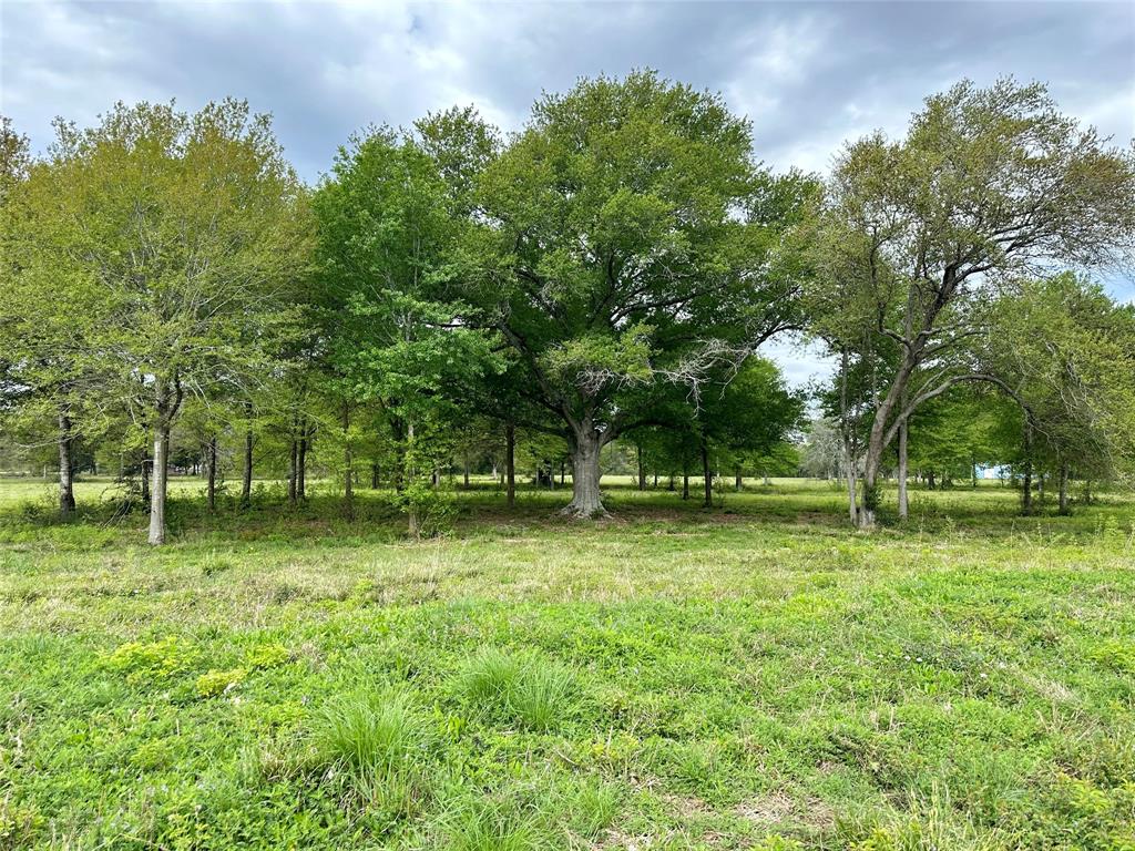 4304 Fcr 78, Rosharon, Texas image 19