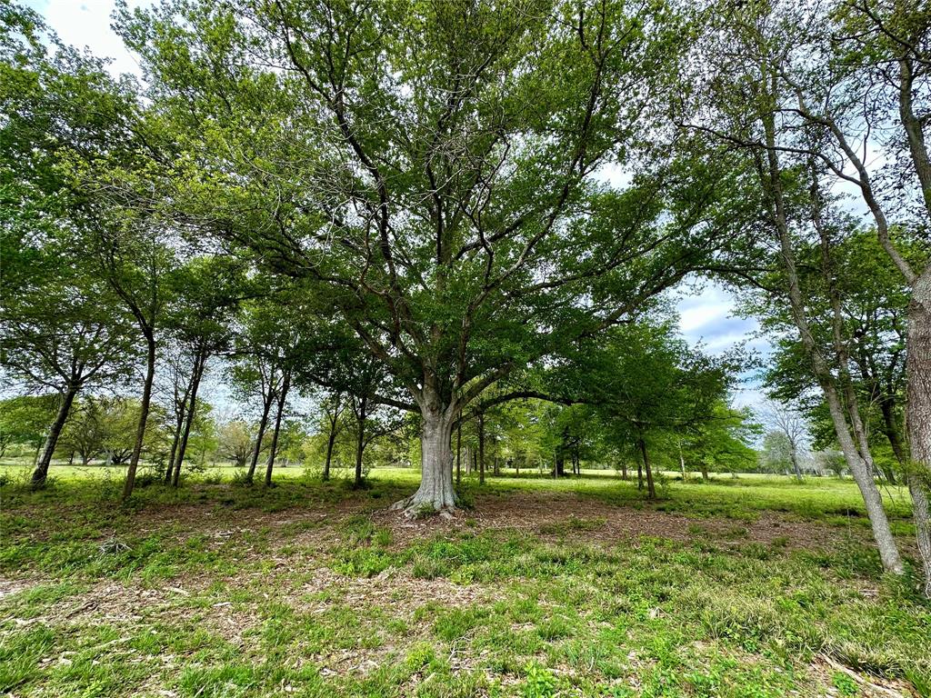 4304 Fcr 78, Rosharon, Texas image 17