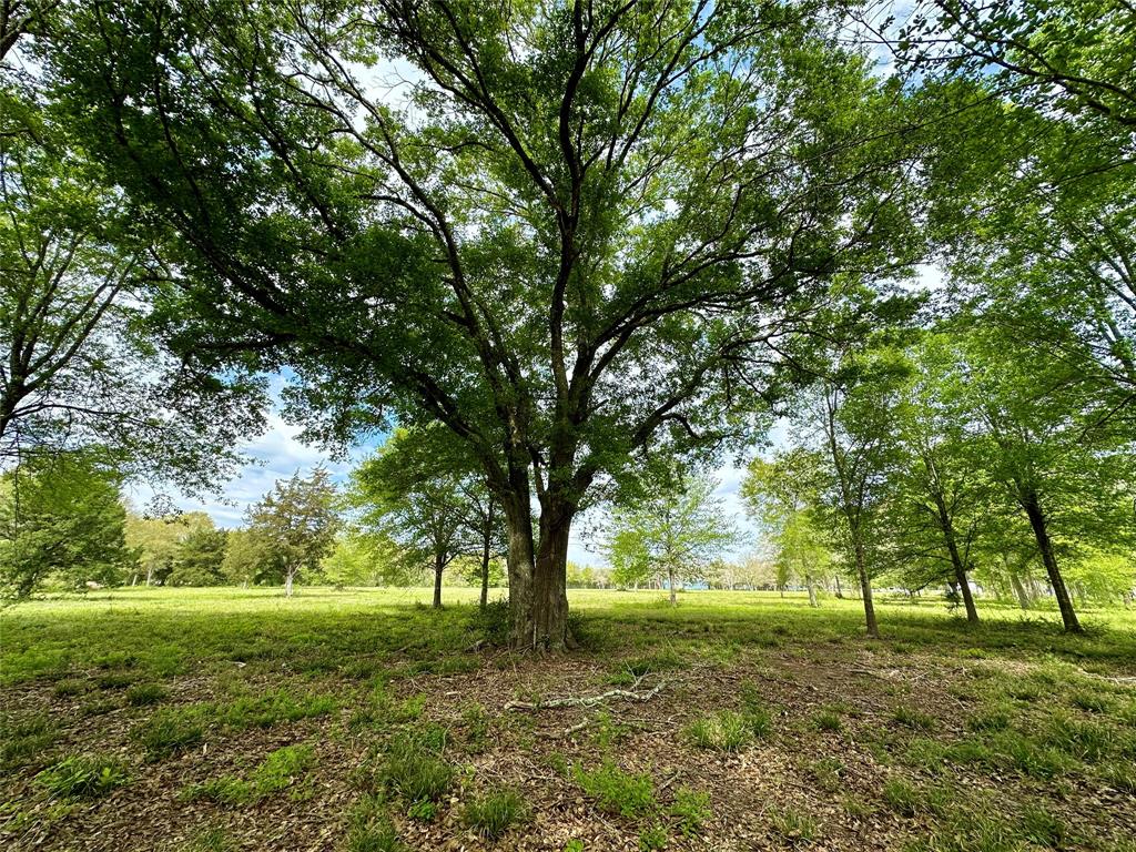 4304 Fcr 78, Rosharon, Texas image 38