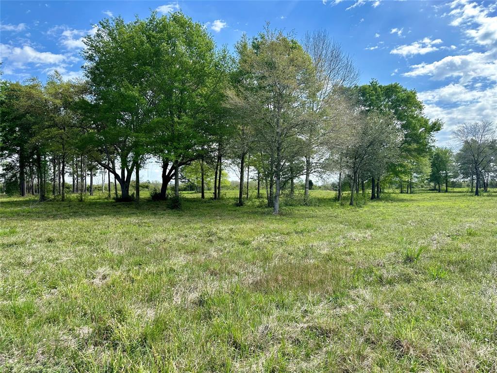 4304 Fcr 78, Rosharon, Texas image 47