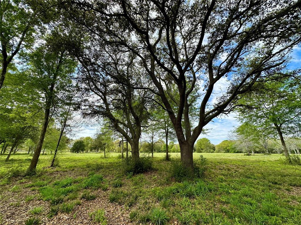 4304 Fcr 78, Rosharon, Texas image 39
