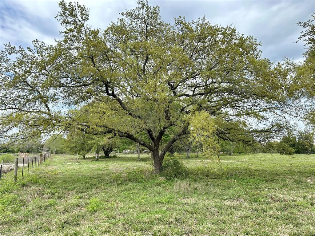 4304 Fcr 78, Rosharon, Texas image 25