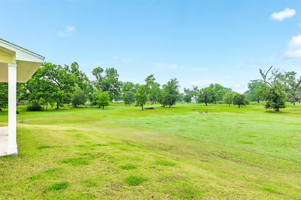1108 Saddle Horn Bend, Angleton, Texas image 34