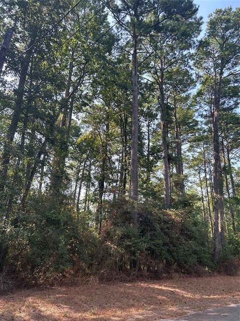 Vacant Land For Sale - 1920 Caldwell Street<br/> Livingston, TX 77351