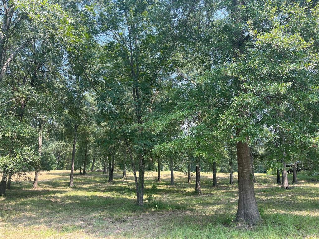 1000 County Road 471, Etoile, Texas image 9