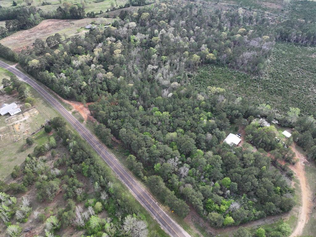 000 Fm-252, Jasper, Texas image 3