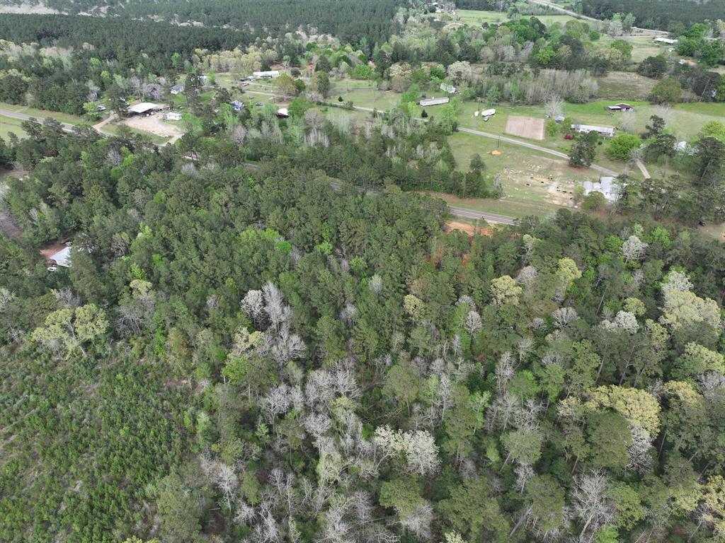 000 Fm-252, Jasper, Texas image 7