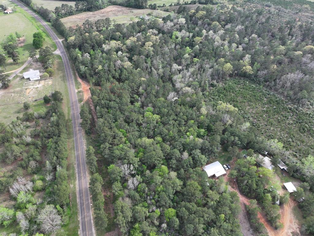 000 Fm-252, Jasper, Texas image 4