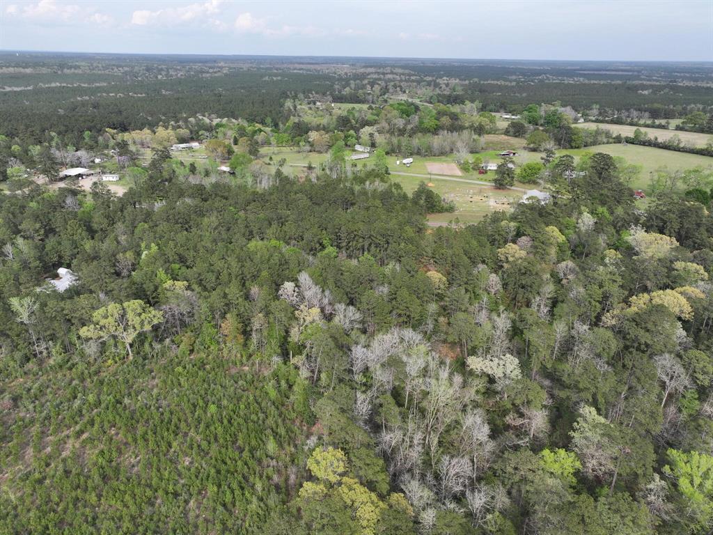 000 Fm-252, Jasper, Texas image 19