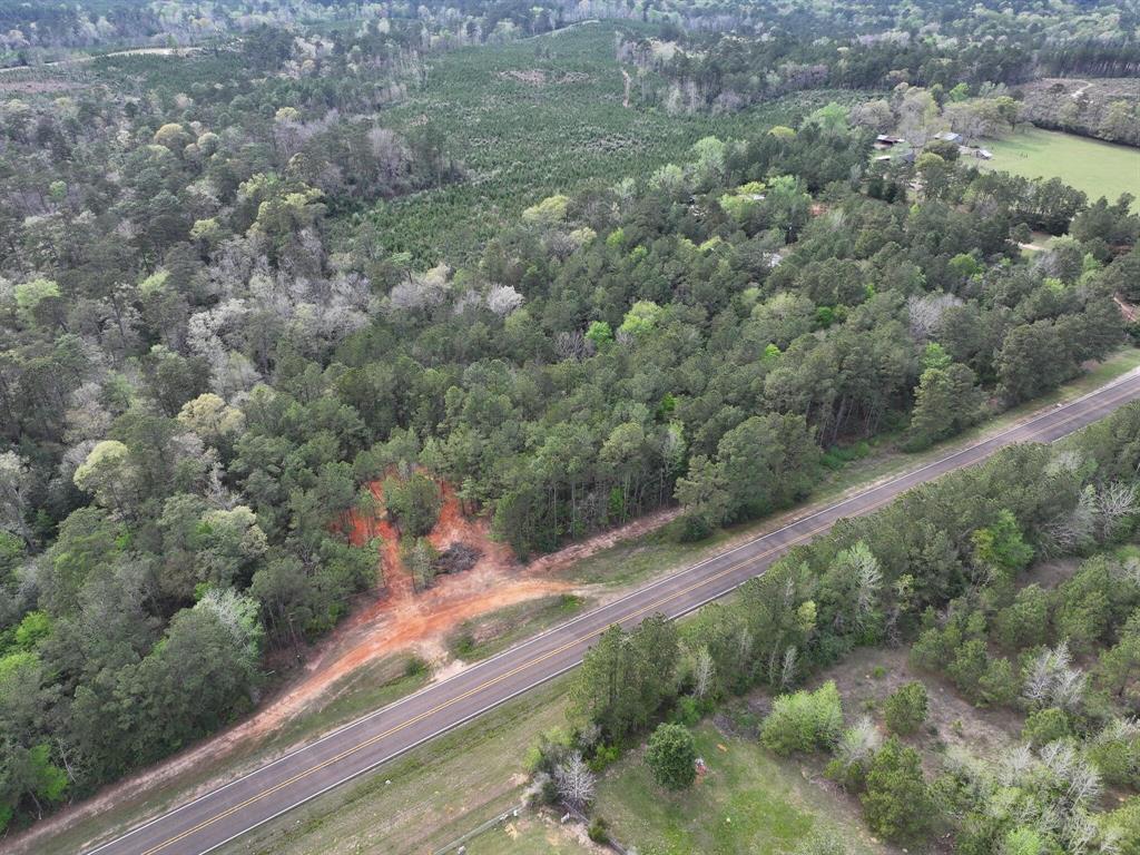 000 Fm-252, Jasper, Texas image 11