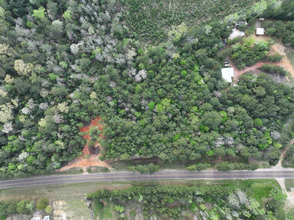 000 Fm-252, Jasper, Texas image 12