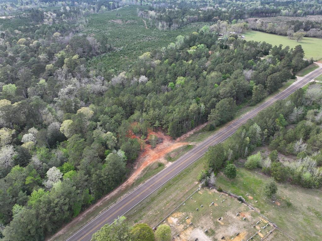 000 Fm-252, Jasper, Texas image 10