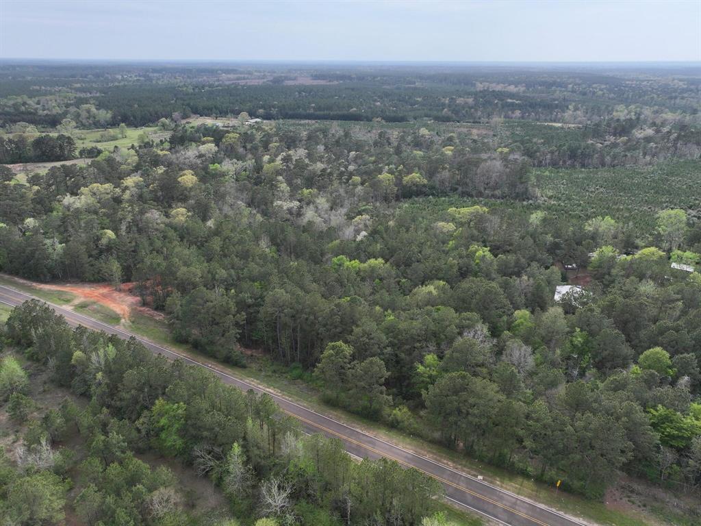 000 Fm-252, Jasper, Texas image 14
