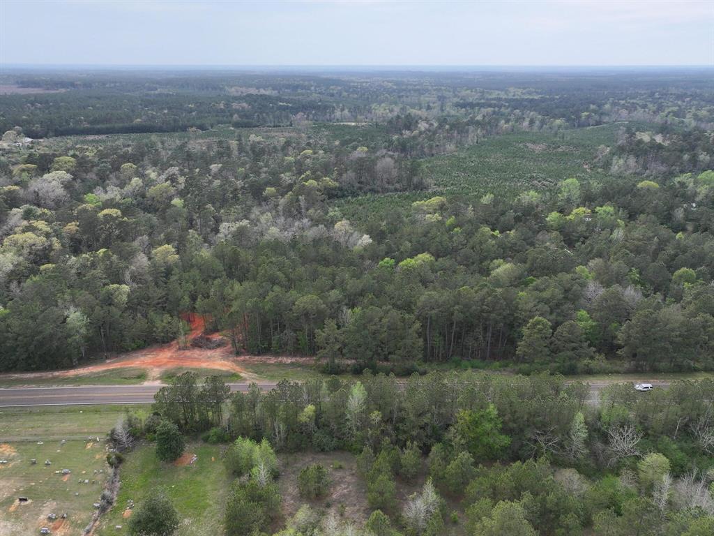 000 Fm-252, Jasper, Texas image 13