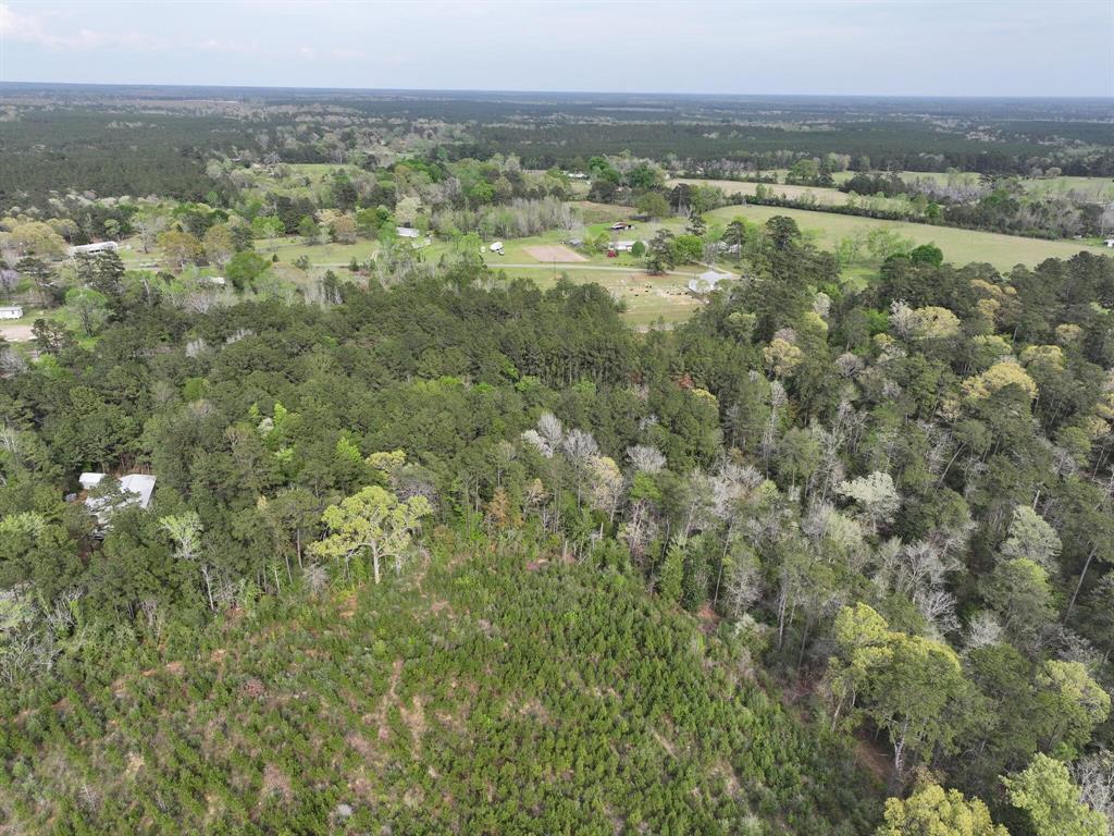 000 Fm-252, Jasper, Texas image 18